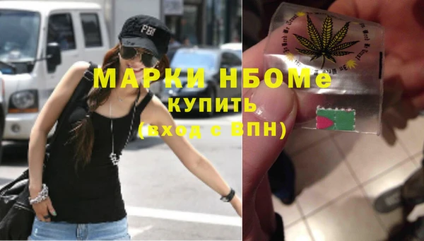 стаф Ладушкин
