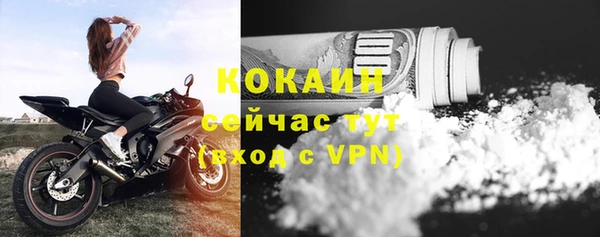 стаф Ладушкин